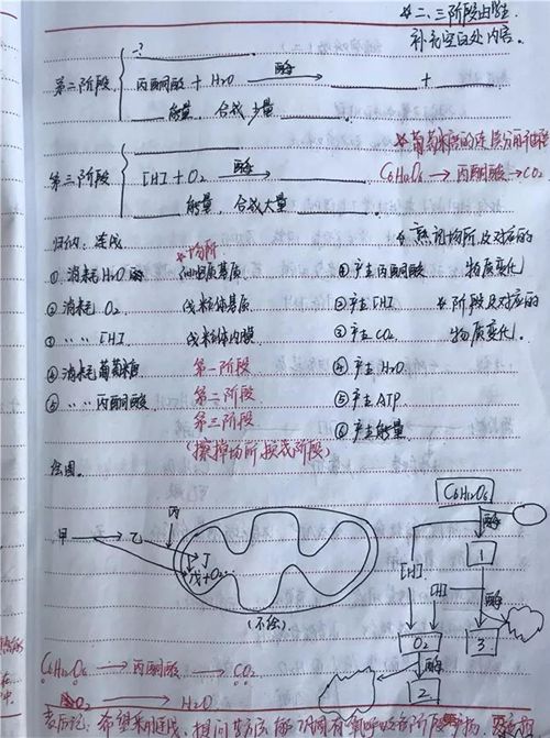 微信图片_20171228144822_副本.jpg