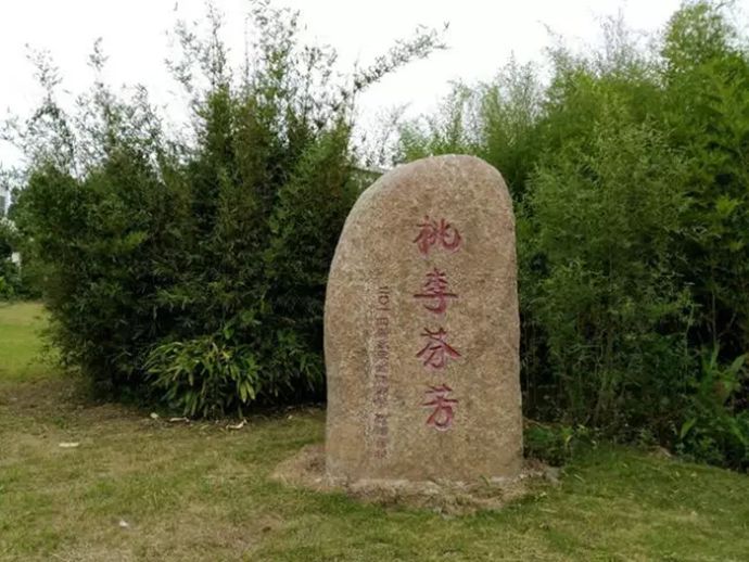 640.webp_副本.jpg