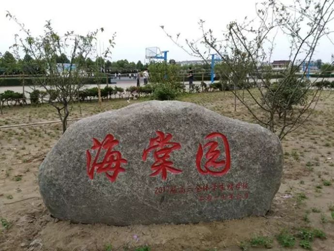 640.webp_副本.jpg